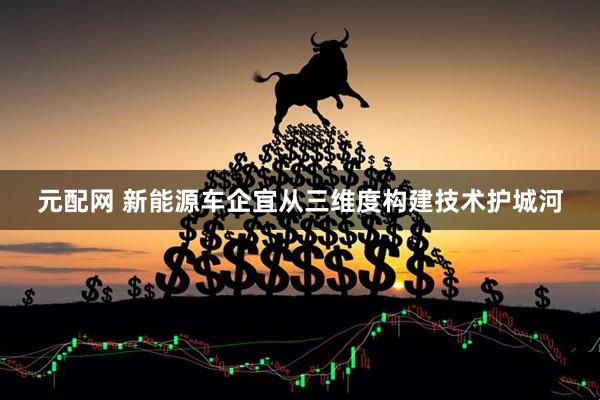 元配网 新能源车企宜从三维度构建技术护城河