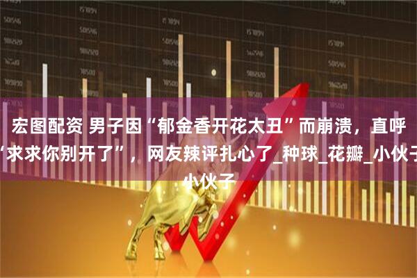 宏图配资 男子因“郁金香开花太丑”而崩溃，直呼“求求你别开了”，网友辣评扎心了_种球_花瓣_小伙子