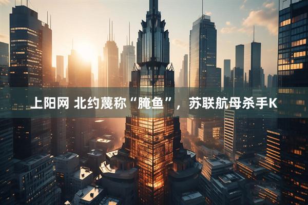 上阳网 北约蔑称“腌鱼”，苏联航母杀手K