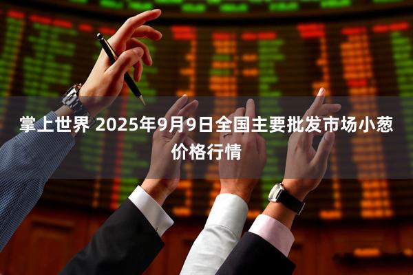 掌上世界 2025年9月9日全国主要批发市场小葱价格行情