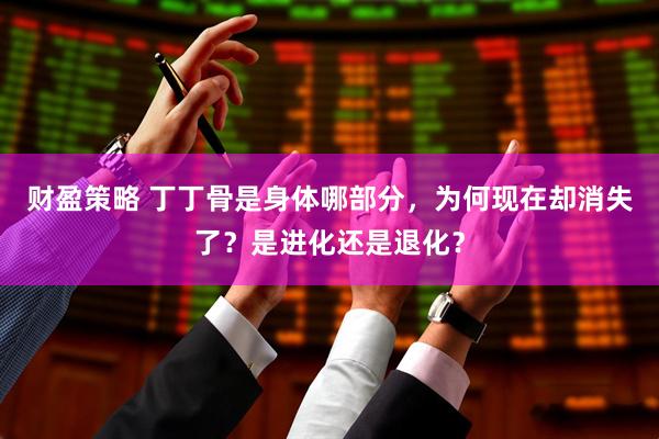 财盈策略 丁丁骨是身体哪部分，为何现在却消失了？是进化还是退化？